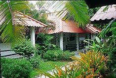 Sun shine Garden